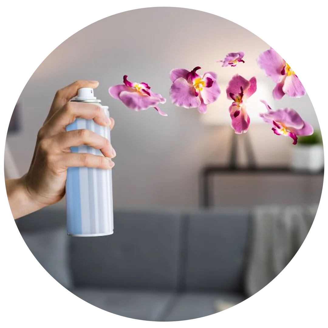 Air Fresheners