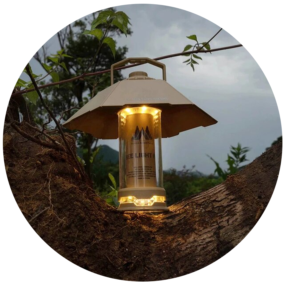 Light torch