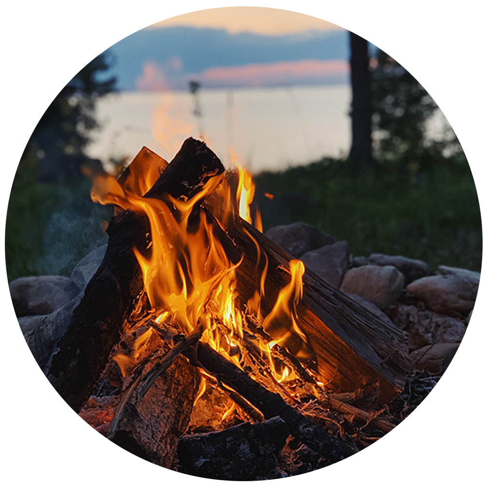 fire wood 1