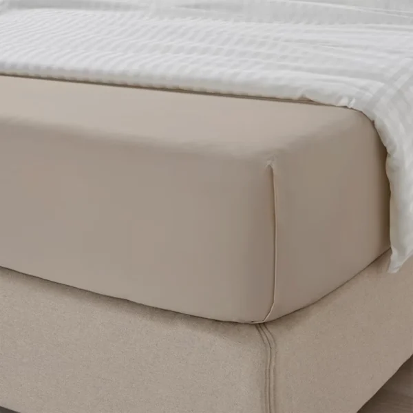 BYFT008091 BYFT TULIP Single Flat Sheet Beige Set of 1 B