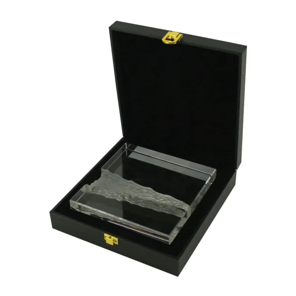 BYFT005770 BYFT Square Shaped Crystal Award Set of 01   CR 01 C
