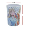BYFT021146 Disney Tumbler Melamine Set Frozen II 200 Ml Multicolor Plastic Set of 01   RJ51098 A