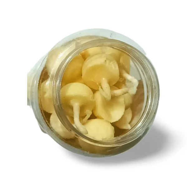 BYFT005724 D Viswa POOJA ESSENTIALS VANASPATI GHEE BATTI   PACK OF 30 B