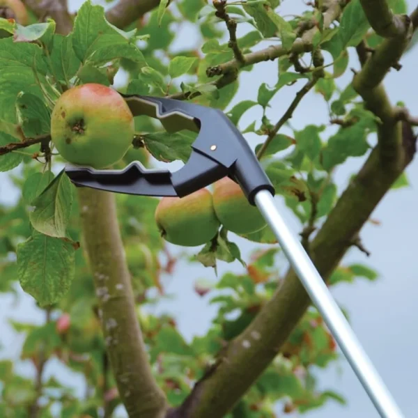 BYFT012423 STV Grip N' Grab Picker B