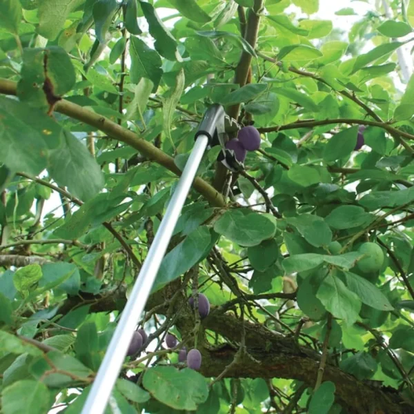 BYFT012423 STV Grip N' Grab Picker C