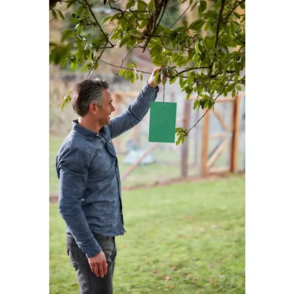 BYFT012425 STV Horse Chestnut Leaf Miner Trap   Twinpack B