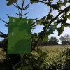 BYFT012425 STV Horse Chestnut Leaf Miner Trap   Twinpack C